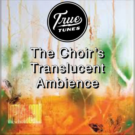 @45RPM – The Choir’s Translucent Ambience